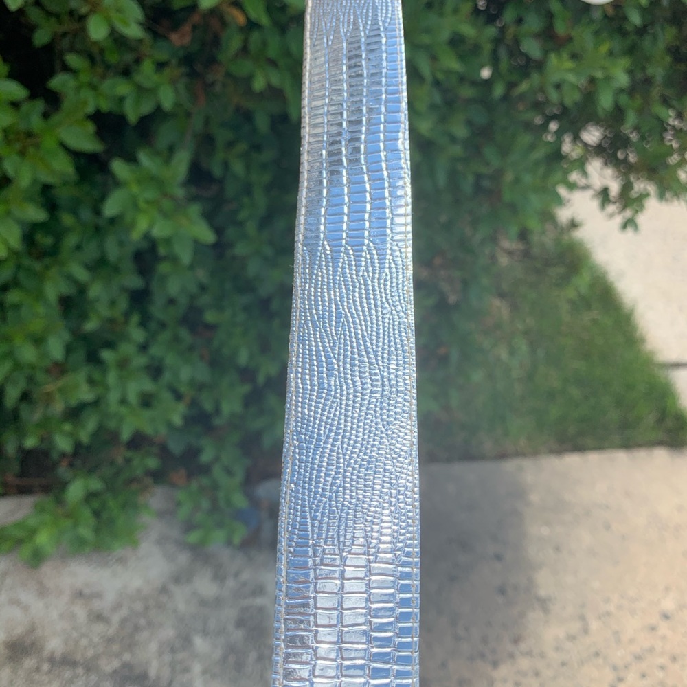 Silver Metallic Snack Skin Belt